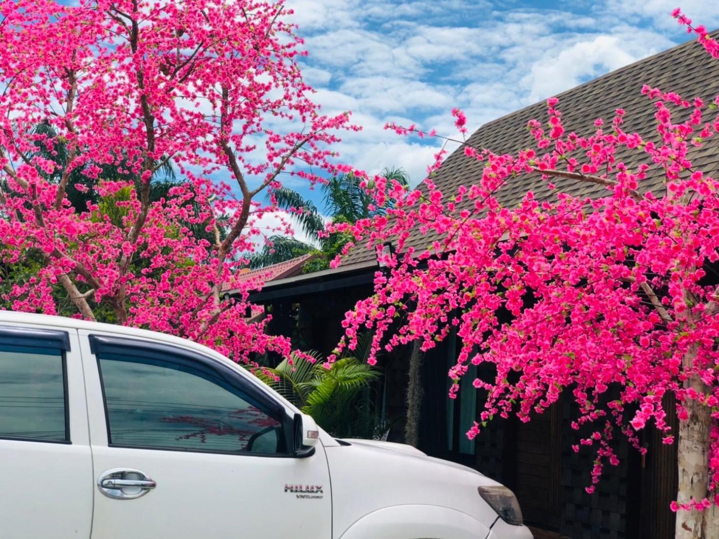 Kob Suk Resort K7 , K10 Sichon Luaran gambar